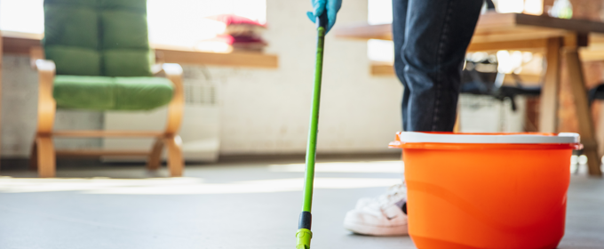 Domestic Cleaning