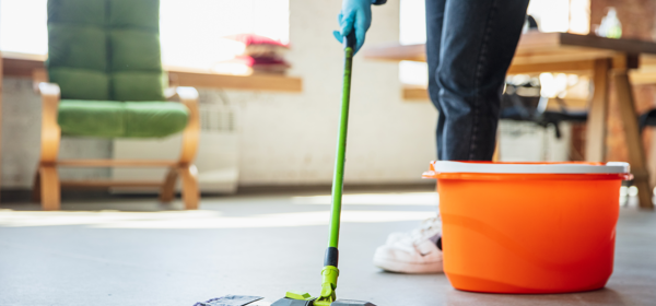Domestic Cleaning